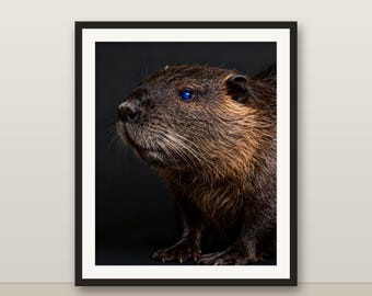 ヌートリアのウォールアート、写実的なヌートリアのプリント、動物の肖像画、印刷可能なデジタルダウンロード、ホームデコレーション