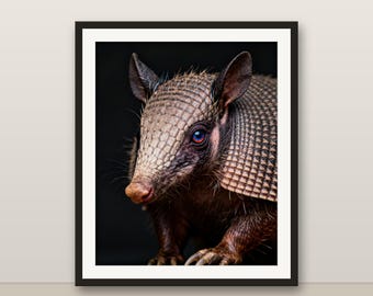 アルマジロのウォールアート、写実的なアルマジロのプリント、動物の肖像画、印刷可能なデジタルダウンロード、ホームデコレーション