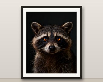 アライグマのウォールアート、写実的なアライグマのプリント、動物の肖像画、印刷可能なデジタルダウンロード、ホームデコレーション