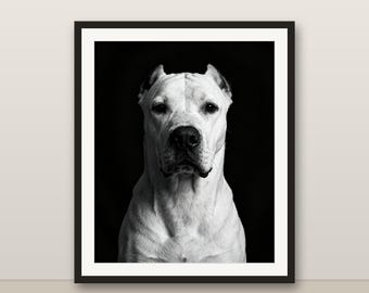 Argentinischer Mastiff Wandkunst, Schwarzweißer Hundedruck, Modernes Hundebild, 4K druckbares Hundebild, Haustierporträt, minimalistischer Dez