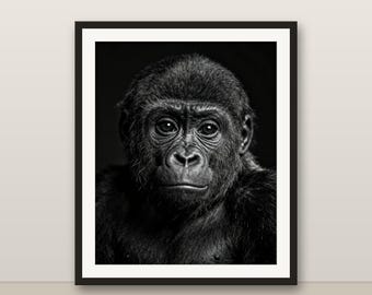 Black and White Baby Gorilla Wall Art, Baby Gorilla Print, Photorealistic Animal Portrait, Printable Digital Download