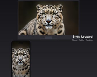 Snow Leopard Wallpaper Pack, Phone Tablet Desktop Background, 7 Sizes 4K, Digital Download