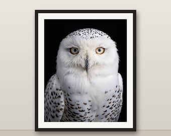 Schneeeule Wandkunst, weiße Eule Druck, schwarz und weiß Tier Porträt, 8K druckbare digitale Download, Wildtier Dekor
