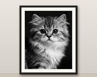 Black and White Persian Kitten Wall Art, Persian Kitten Print, Photorealistic Animal Portrait, Printable Digital Download