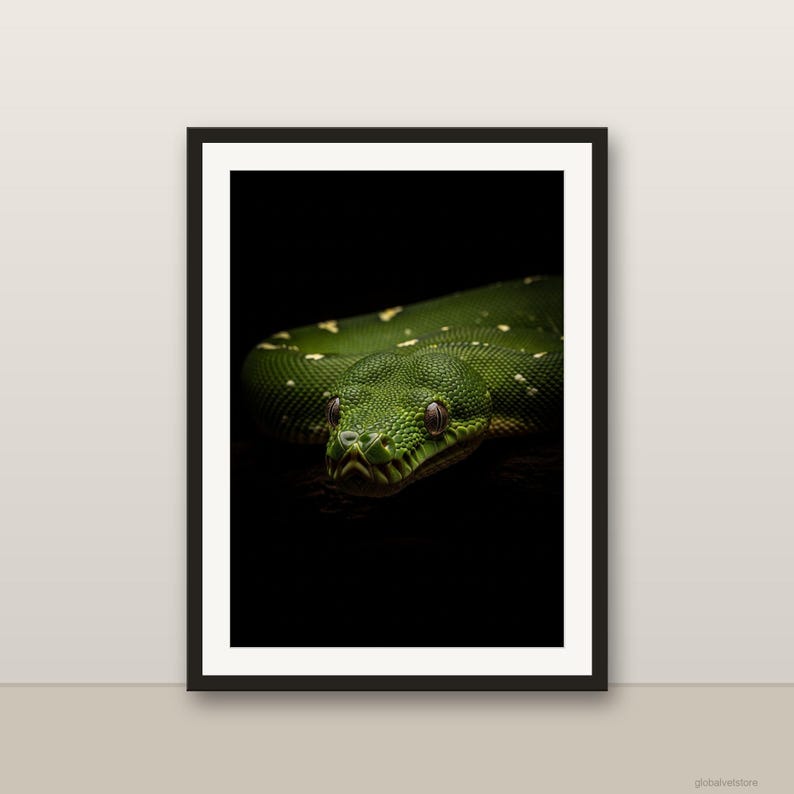 Green Tree Python framed in a styled room