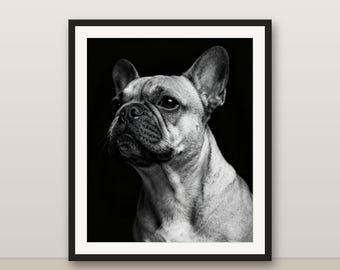 Französische Bulldogge Hundewandkunst, Schwarzweißhundedruck, modernes Hundebild, 4K druckbares Hundebild, Haustierporträt, minimalistisches Deko