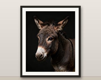Miniature Donkey Wall Art, Photorealistic Miniature Donkey Print, Animal Portrait, Printable Digital Download, Home Decor