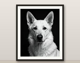 Black and White White Swiss Shepherd Wall Art, White Swiss Shepherd Print, Photorealistic Animal Portrait, Printable Digital Download