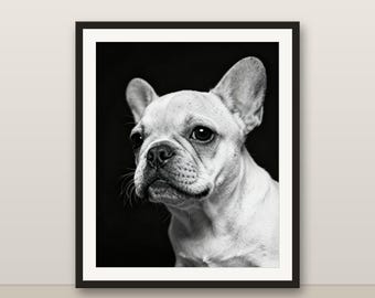 Black and White French Bulldog Puppy Wall Art, French Bulldog Puppy Print, Photorealistic Animal Portrait, Printable Digital Download