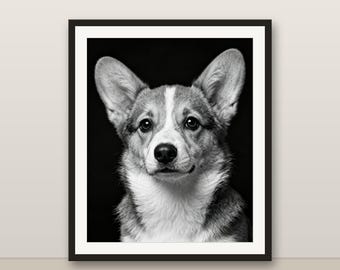 Black and White Corgi Puppy Wall Art, Corgi Puppy Print, Photorealistic Animal Portrait, Printable Digital Download