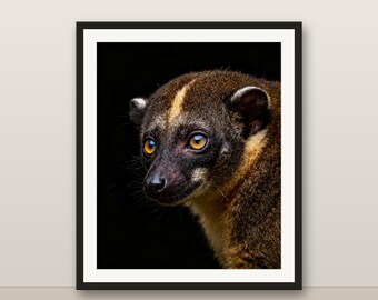 キンカジューのウォールアート、フォトリアルなキンカジューのプリント、動物の肖像画、印刷可能なデジタルダウンロード、ホームデコレーション