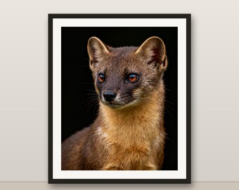 マツテンのウォールアート、写実的なマツテンのプリント、動物の肖像画、印刷可能なデジタルダウンロード、ホームデコレーション