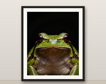 カワウソのウォールアート、写実的なカワウソのプリント、動物の肖像画、印刷可能なデジタルダウンロード、ホームデコレーション