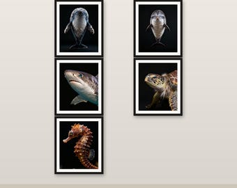 5er-Pack Marine Life Art Bundle 4K 6K 8K Digitaler Download Druckbares Dekor Sparen Sie 186 HKD #1