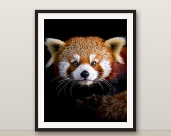 Roter Panda Wandkunst, Farbe Tier Porträt, Wald Kinderzimmer Dekor, Wildtier-Druck, 8K druckbare digitaler Download