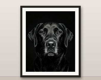 Black and White Black Labrador Wall Art, Black Labrador Print, Photorealistic Animal Portrait, Printable Digital Download