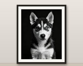 Black and White Husky Puppy Wall Art, Husky Puppy Print, Photorealistic Animal Portrait, Printable Digital Download