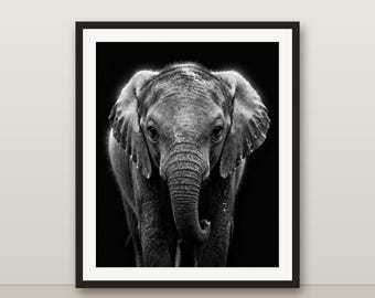 Black and White Elephant Calf Wall Art, Elephant Calf Print, Photorealistic Animal Portrait, Printable Digital Download