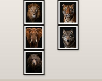 5er-Pack Wildtier-Tier-Kunst-Bundle 4K 6K 8K Digitaler Download druckbare Dekor V1