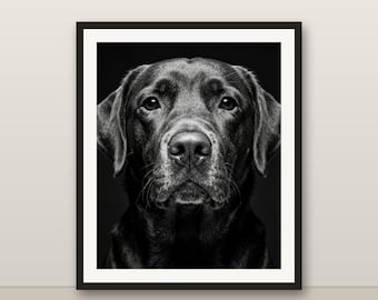 Black and White Chocolate Labrador Wall Art, Chocolate Labrador Print, Photorealistic Animal Portrait, Printable Digital Download