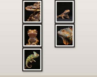 5er-Pack Reptile Wall Art Bundle 4K 6K 8K Digitaler Download druckbares Dekor sparen 186 HKD #1