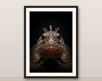 Grunt Sculpin Wall Art, Photorealistic Grunt Sculpin Print, Animal Portrait, Printable Digital Download, Home Decor