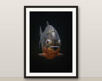 Piranha Wall Art, Photorealistic Piranha Print, Animal Portrait, Printable Digital Download, Home Decor