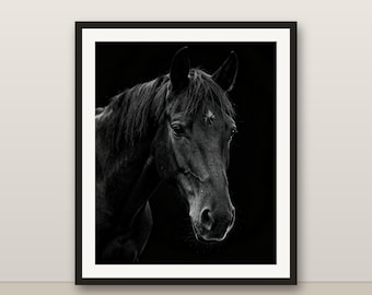 Black and White Black Stallion Wall Art, Black Stallion Print, Photorealistic Animal Portrait, Printable Digital Download