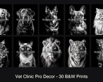 Väggkonst för veterinärklinik, paket med 30 tryck, hundar, katter, vilda djur, svartvitt, 4K, 8K, djursjukhus, digital nedladdning