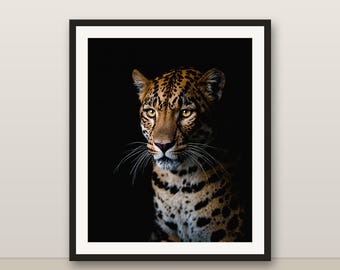 Wildtiere Raubkatzen Wand Kunst 18 Drucke Löwe Tiger Leopard Gepard 4K 8K Safari Dekor druckbare digitaler Download