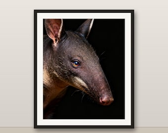 ツチブタのウォールアート、写実的なツチブタのプリント、動物の肖像画、印刷可能なデジタルダウンロード、ホームデコレーション