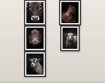 Pacchetto da 5 animali da fattoria - Quadri da parete con animali a colori, download digitale stampabile in 4K/6K/8K V1