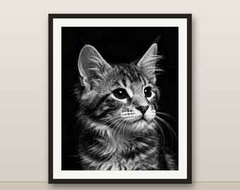 Black and White Maine Coon Kitten Wall Art, Maine Coon Kitten Print, Photorealistic Animal Portrait, Printable Digital Download