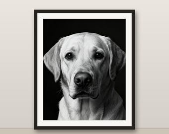 Black and White Yellow Labrador Wall Art, Yellow Labrador Print, Photorealistic Animal Portrait, Printable Digital Download