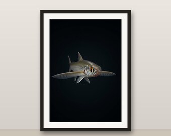 Flying Fish Wall Art, Photorealistic Flying Fish Print, Animal Portrait, Printable Digital Download, Home Decor