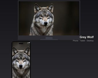 Pacchetto di sfondi Lupo Grigio, per telefono, tablet e desktop, 7 dimensioni 4K, download digitale