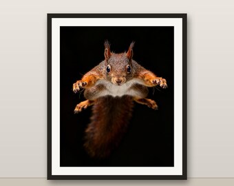 フライングスクイレルのウォールアート、フォトリアルなフライングスクイレルのプリント、動物の肖像画、印刷可能なデジタルダウンロード、ホームデコレーション