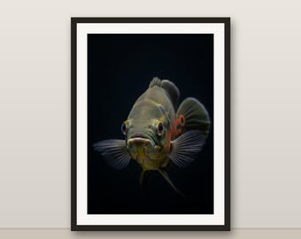 Oscar Fish Wall Art, Photorealistic Oscar Fish Print, Animal Portrait, Printable Digital Download, Home Decor