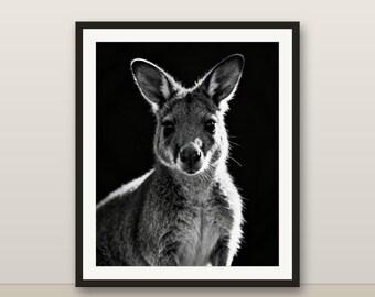 Black and White Joey Kangaroo Wall Art, Joey Kangaroo Print, Photorealistic Animal Portrait, Printable Digital Download