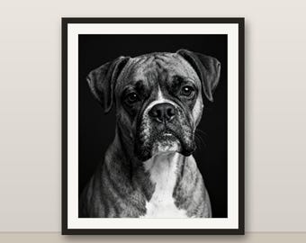 Black and White Brindle Boxer Wall Art, Brindle Boxer Print, Photorealistic Animal Portrait, Printable Digital Download