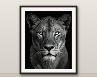 Black and White White Lion Wall Art, White Lion Print, Photorealistic Animal Portrait, Printable Digital Download