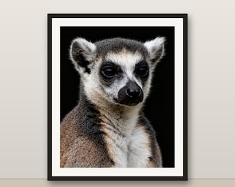 Lemur Wall Art, Photorealistic Lemur Print, Animal Portrait, Printable Digital Download, Home Decor
