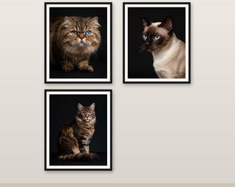3er Pack Katze Wand Kunst Bundle 4K 6K 8K Digitaler Download druckbares Dekor
