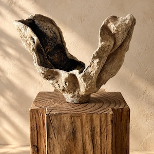 May include: A sculptural vessel with a rough, textured, light-colored exterior and a dark, deep interior, shaped like an open shell or organic form. The piece is mounted on a square, weathered wooden block with visible grain and rings.