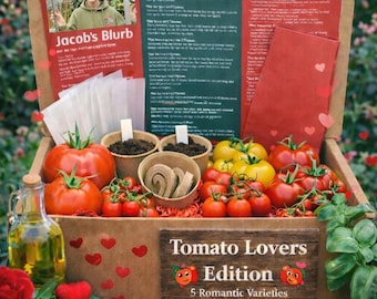 Grow Your Own Tomato “Lovers” Kit. Tomato Grow Kit UK | Grow Your Own Tomatoes | Beginner Gardening Kit | Vegetable Growing Kit