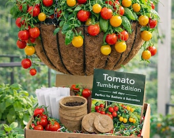Grow Your Own Tomato Hanging Basket - Tomato Tumbler Seed kit Collection