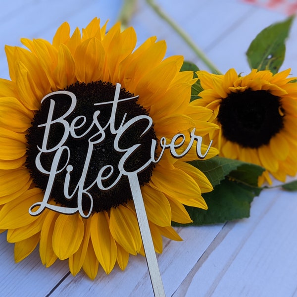 Cake Topper - Best Life Ever