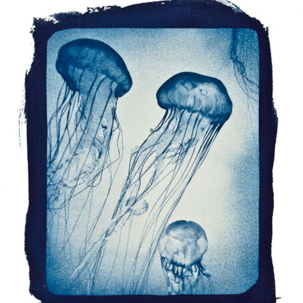 Special order for  aubertjuliette: Jellyfish from original cyanotype blue nautical maritime wall art