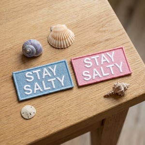 May include: Two rectangular embroidered patches, one light blue and one light pink, each featuring the white text STAY SALTY in a bold sans-serif font. The patches are displayed alongside three distinct seashells of varying shapes and sizes.