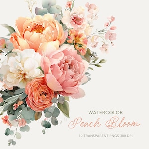 Imágenes prediseñadas florales en acuarela color coral melocotón, ramo de boda de verano PNG FP013